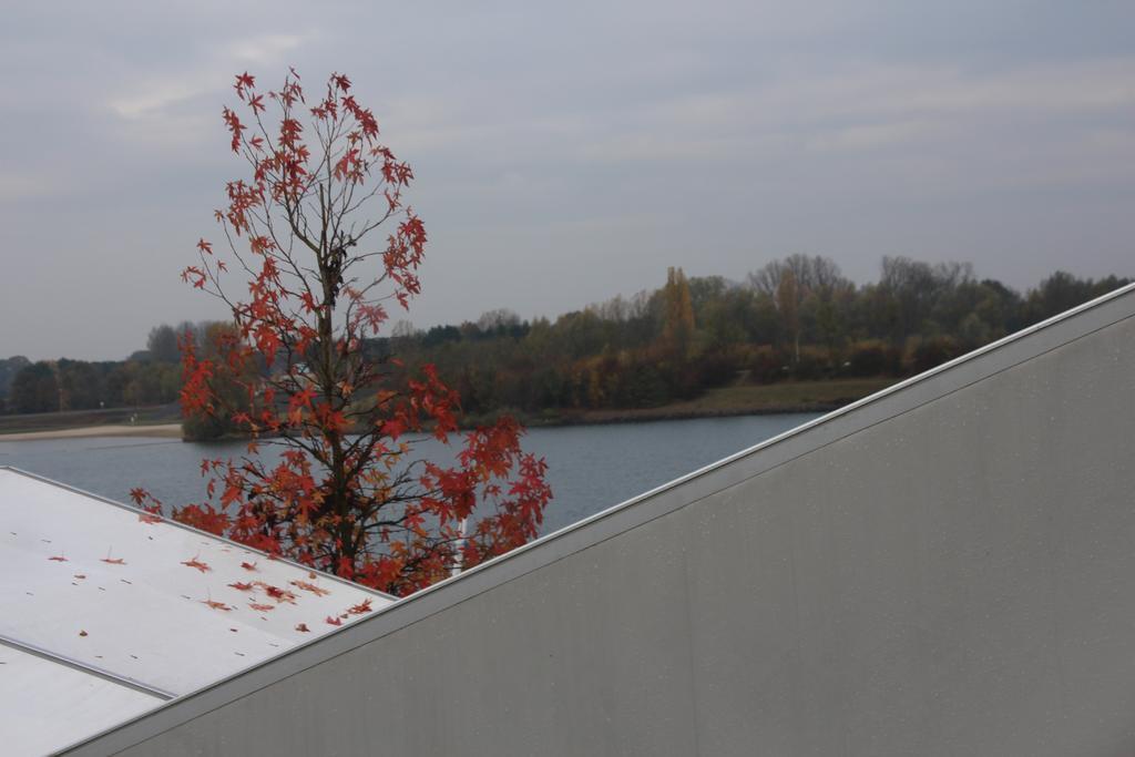 Sailcenter Limburg Hostel Kinrooi Екстериор снимка